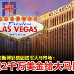 路单系统化：分类与权重的奥秘-白菜论坛-白菜网导航-白菜社区